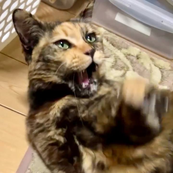 7663df58 38cf 44c9 876b b65dda8f291c 1739303030556