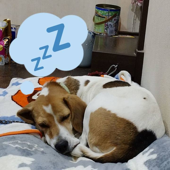 7663df87 fa73 4aa6 9036 94b769c956bf 1607352603089