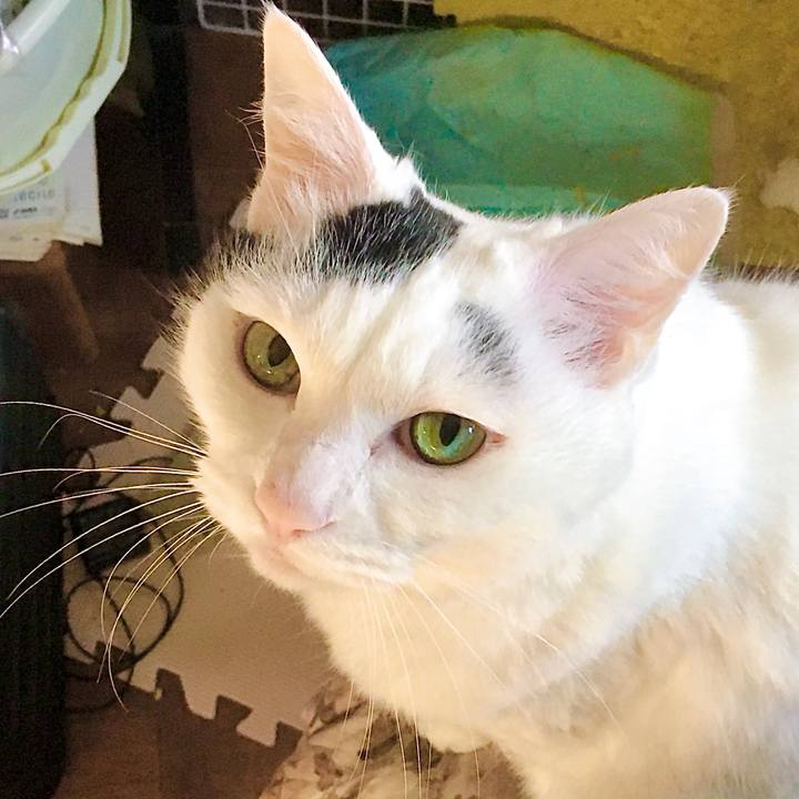 766424b9 6781 4281 ae4c 771d250519f1 1607071740540