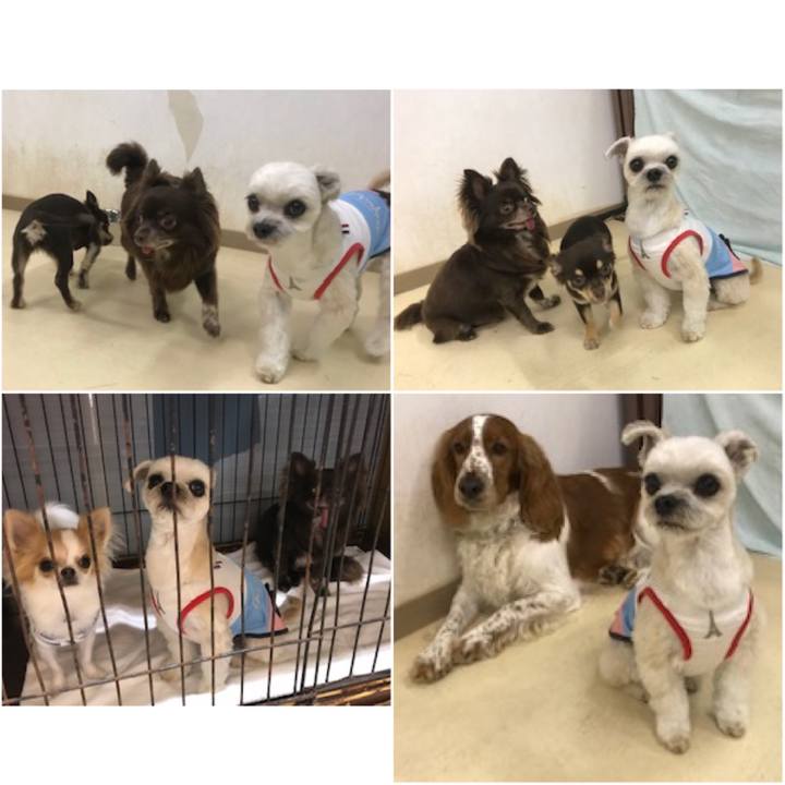 76643630 b33b 441d a626 63be8f1c56d7 1561370330588