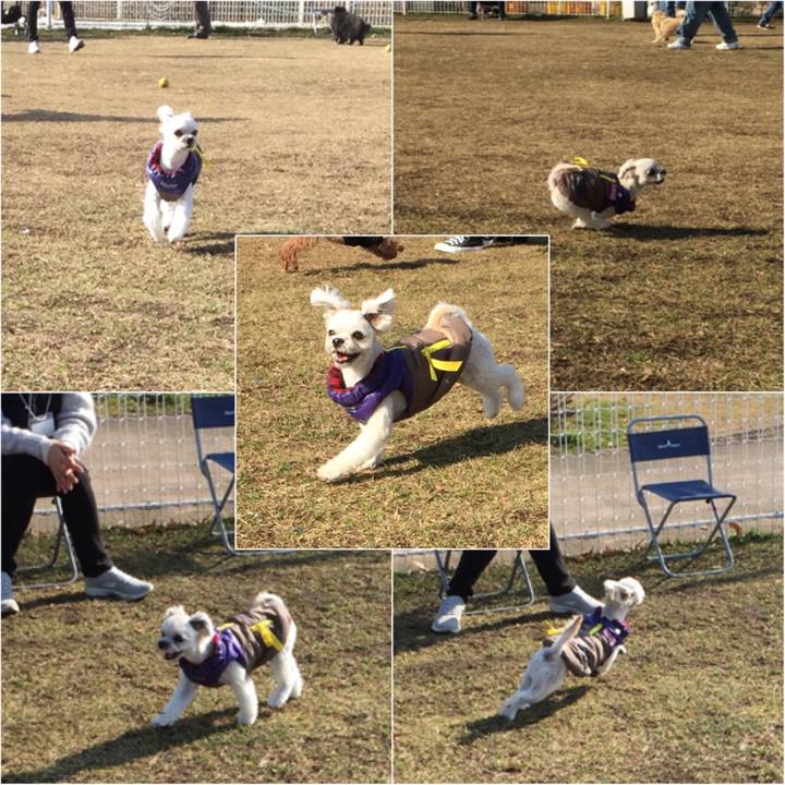 766493dd 14d1 48af aaf1 c5fa700c6e4a 1516514198393