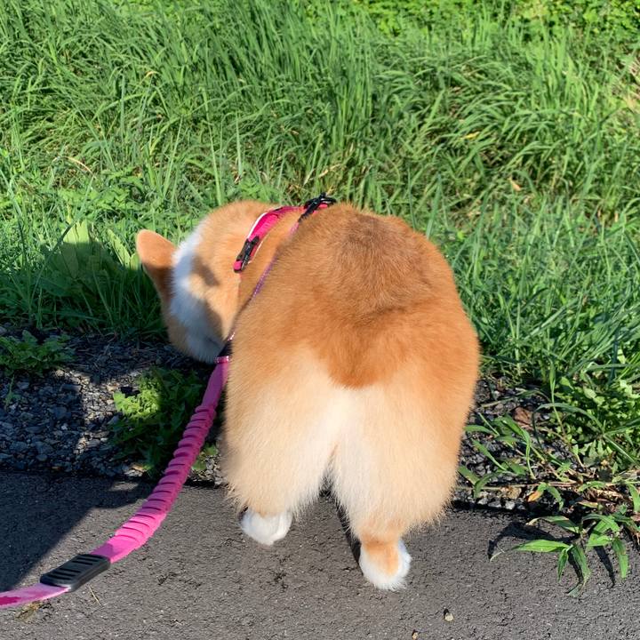 7664abe6 c76a 4ef9 8af7 3941a0dae038 1596237999211