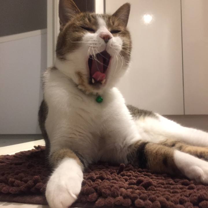 7664e9c6 1c76 4c09 800a af7ec2f26bb6 1525096744765