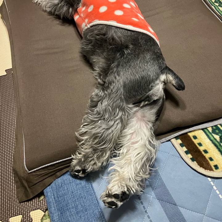 7664fe92 2500 456c 8a8c 38225e6d1b4c 1710916217599