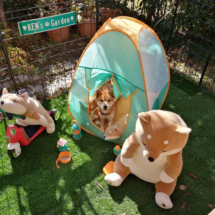 76650112 2a05 4c4e b1ec 587ffa874a97 1636608749848