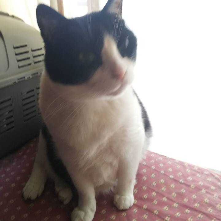 7665022f 58d6 4d81 9091 134037c2134a 1550293434342