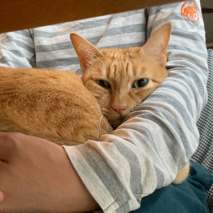 766533e7 eef8 4c56 af8d 6199df34f24a 1602299872601