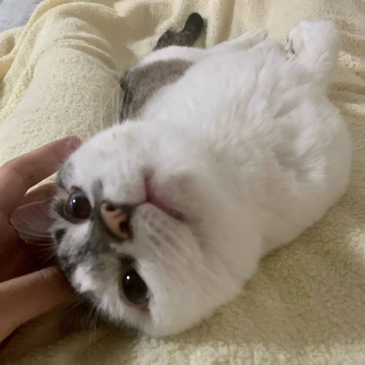 76654096 8173 4014 b26e faffda332367 1628803850248