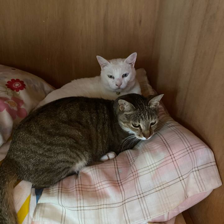 76654516 7f98 47d3 8ab1 a39d54f01806 1593818288107