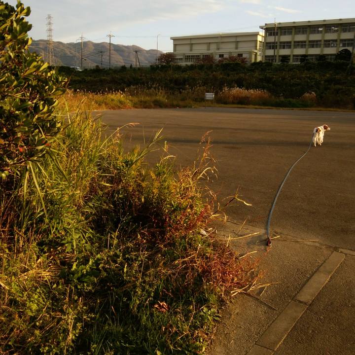 7665629e de07 438a 9664 c9f7de780122 1542799578936