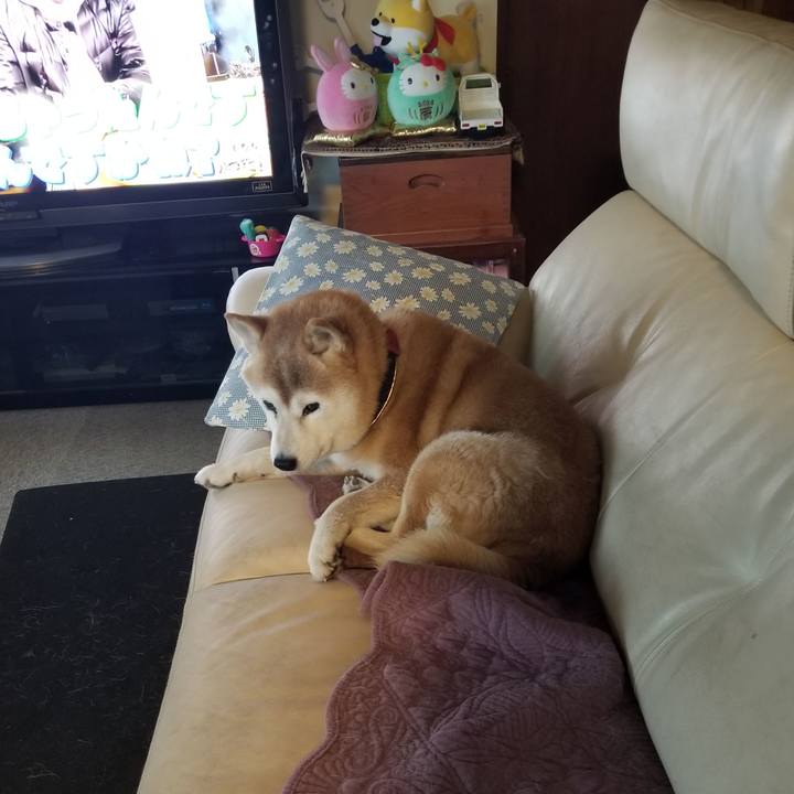 7665666e 09fc 499d a5fa 6e2cf458519a 1735516703181