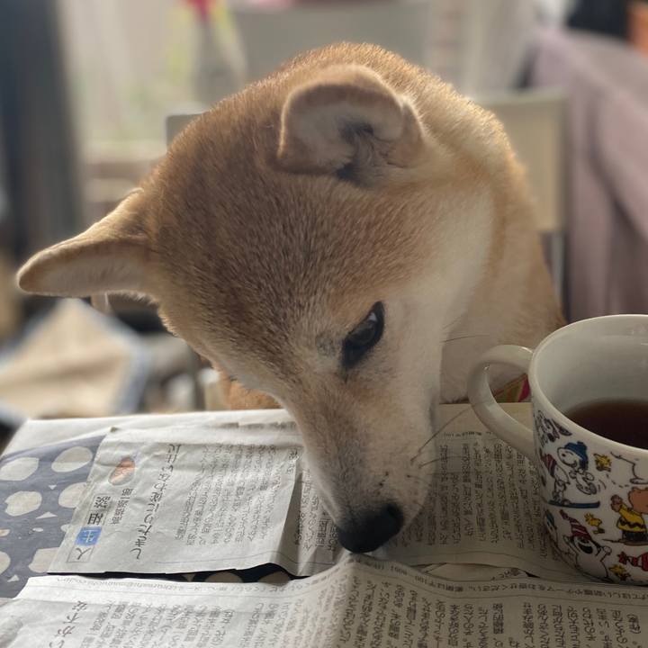 766577ee f189 476e 99de af38b4417b75 1731550347910