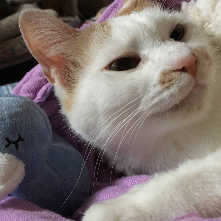 76658742 6018 41b3 ae28 8893b4d0b77b 1543099031483