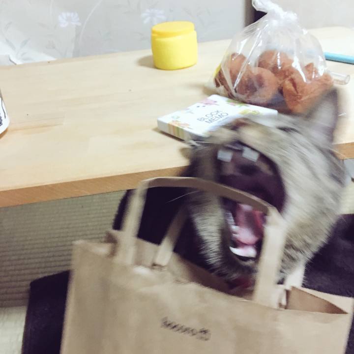 76659278 87d9 41ea 91bc aeecbd04a1a8 1540554925568