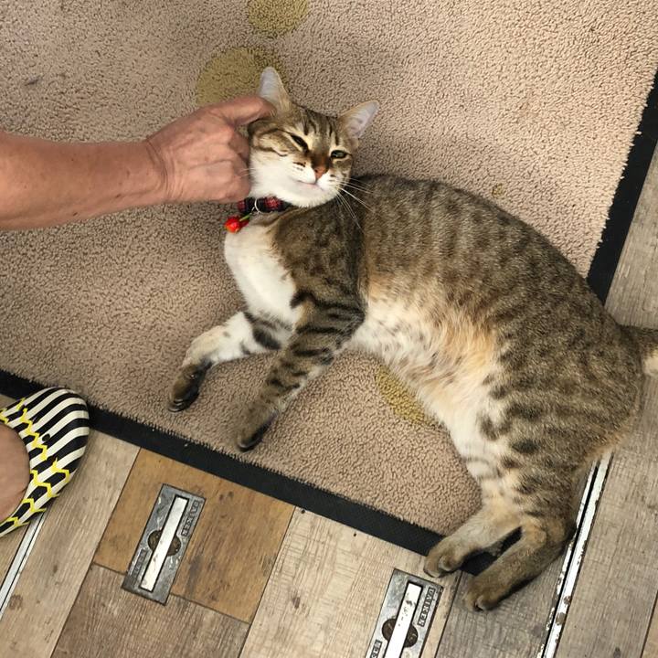 766597dc e2c5 4cf3 9957 a7474603e98e 1624693374697