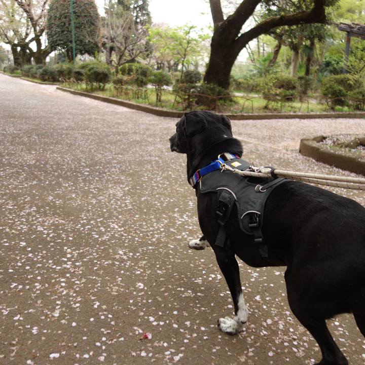 7665e879 838f 4a82 8122 95aec8993075 1649292825644