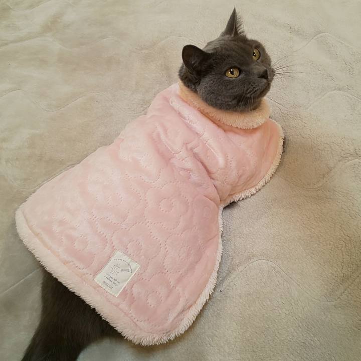 76660591 1a09 4550 aee8 f98661ba1158 1763821279866