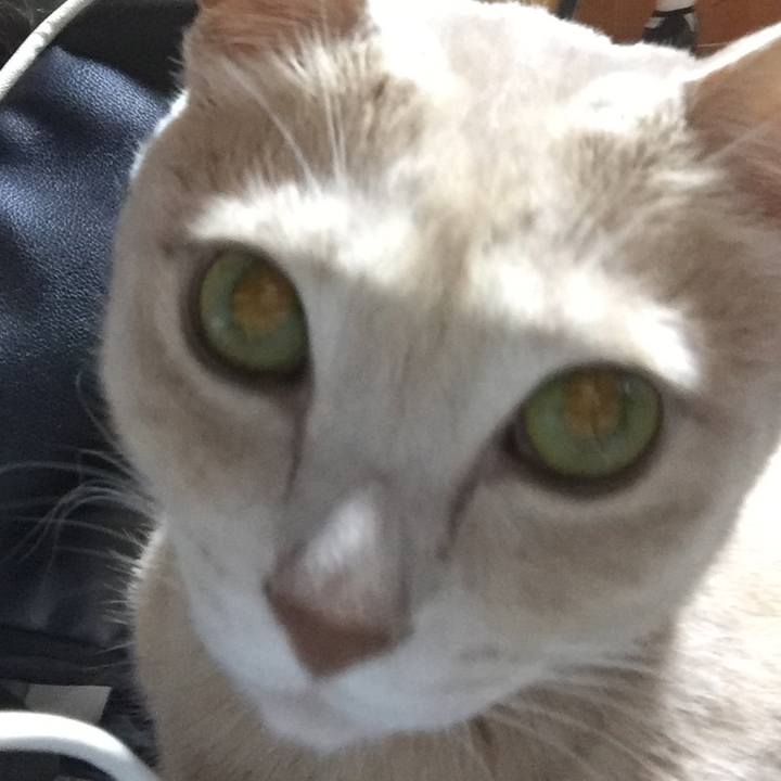 7666585c 1ec7 4590 a972 9a2621c4bb19 1540387248449