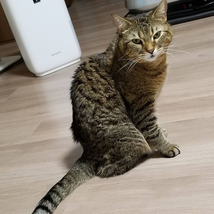 76666ce5 7fb4 4f84 9d67 acd36b6c2805 1609936313915