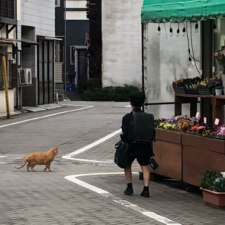 76667a50 e6e6 4526 a985 70aa0c34716b 1516290594929