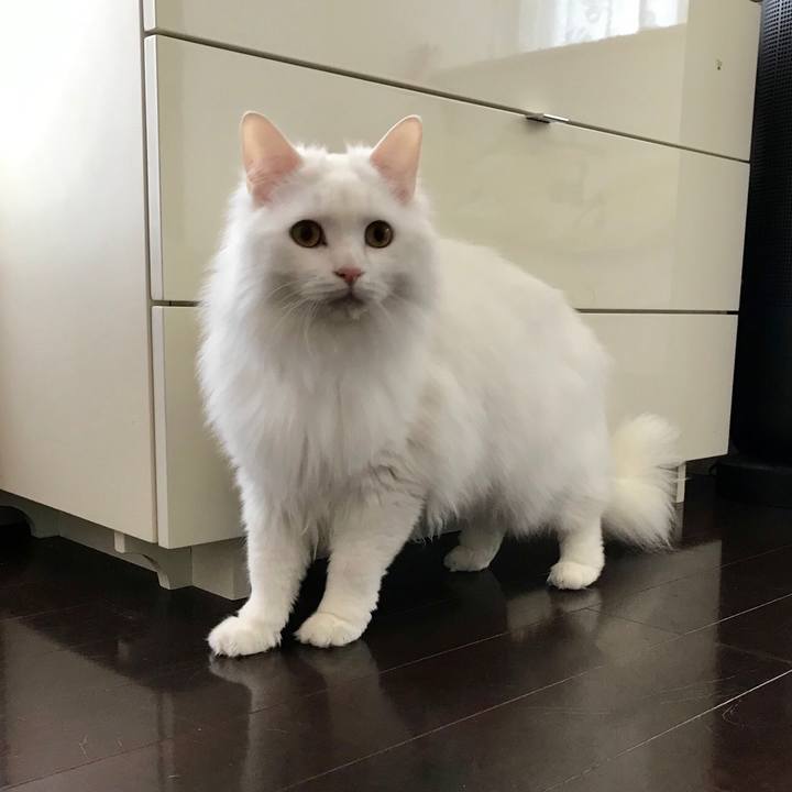 766682c9 bcaa 4f02 ba05 07598793d5ba 1550320678529