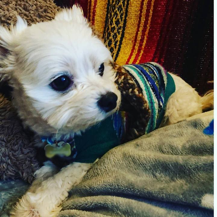 7666d8fd 6e3c 4191 881f e702384fcd5c 1547103465068