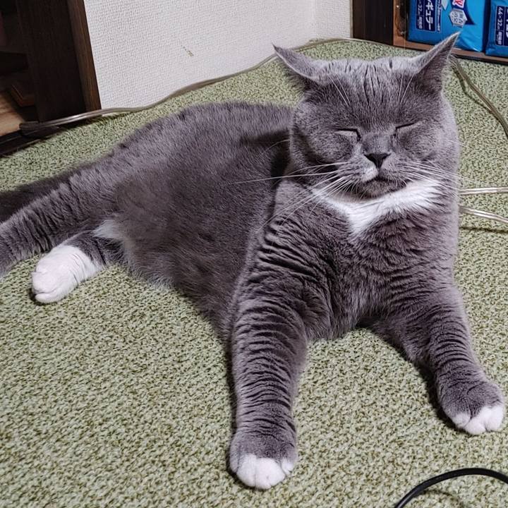 7666fb2d cc20 4818 9f41 4bb3686806ba 1629290820148