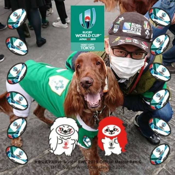 7666feff 8684 4ba5 9e8d 2ca03fce8b10 1568389651586