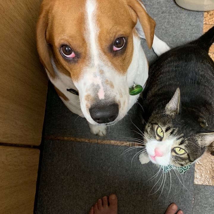 76670168 28e1 4514 842e 8c64536b0cb4 1558257864443