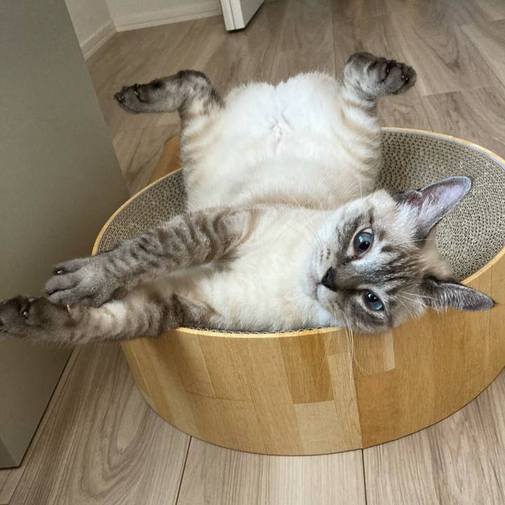 76670d27 57b7 4158 8b6a 05b1a766661b 1698886404217