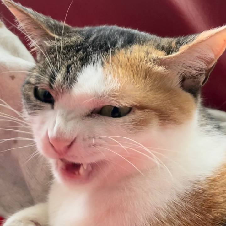 76672563 c39c 4609 9771 dd379d552305 1621897379049