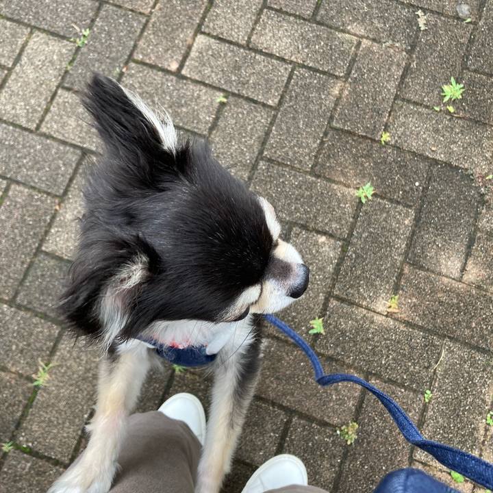 76674244 1c0b 4582 a093 b5164cafec76 1686409594091