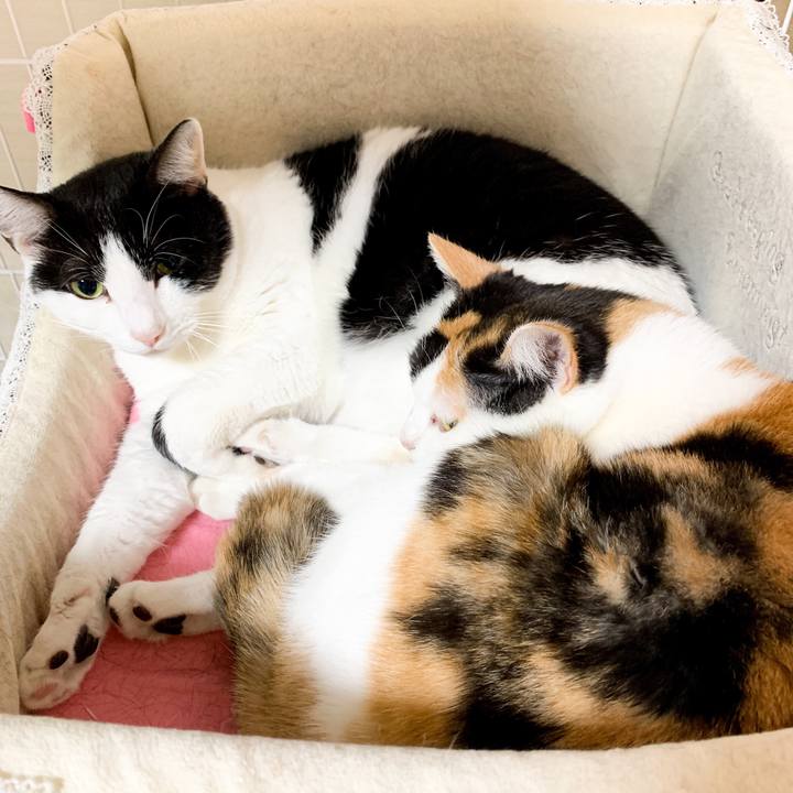 76675413 33bc 492a b08a 4eb4dcd6a050 1547345011688