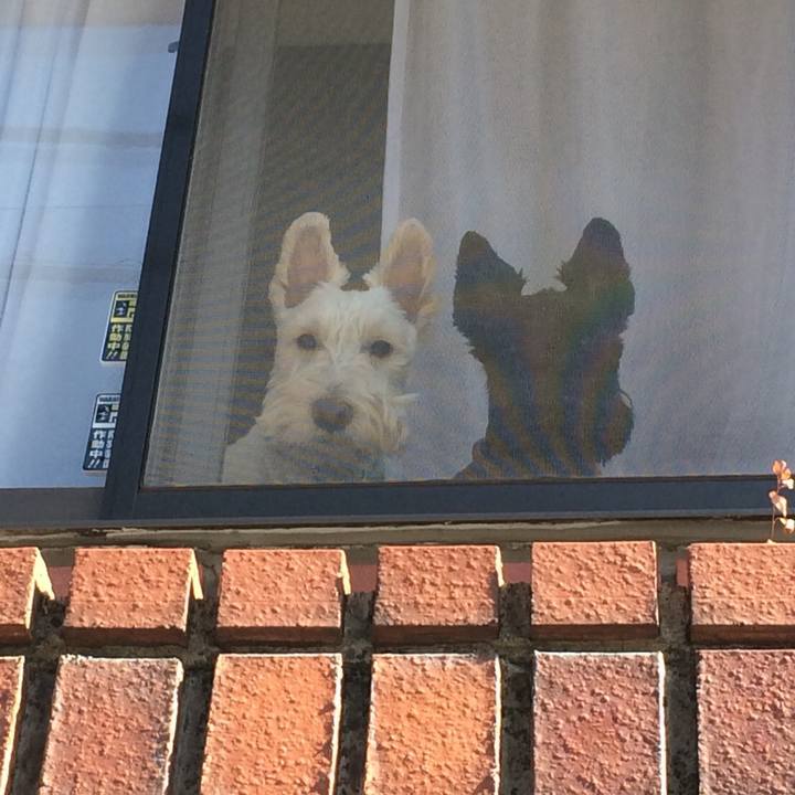 76678cab b876 4434 a777 2a4a37049d21 1509674980388