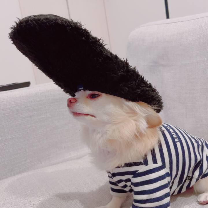 7667aef0 d7b1 4876 8f27 366e70f17c1f 1705492760211