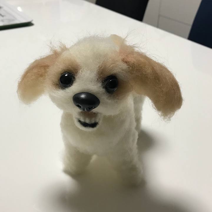 7667bd13 0240 410a a5d8 e7b1cc3db169 1516457037139