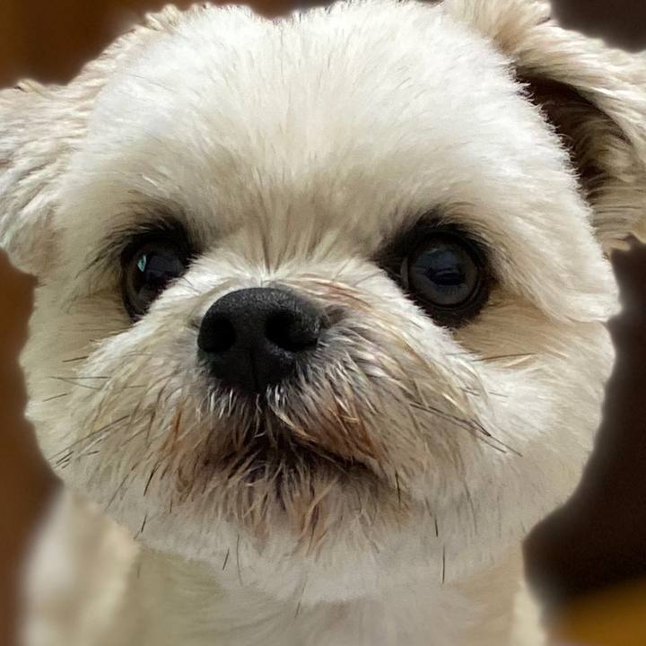 76680b4c 96fe 4373 9b62 73a58338cb54 1594809539713