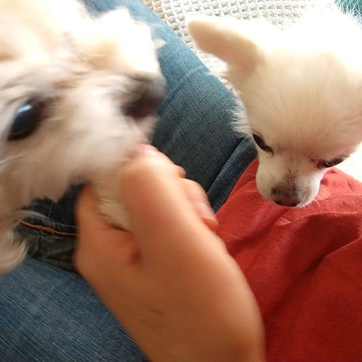 766826fb 1fad 4b41 9336 4031284a811a 1610365033616