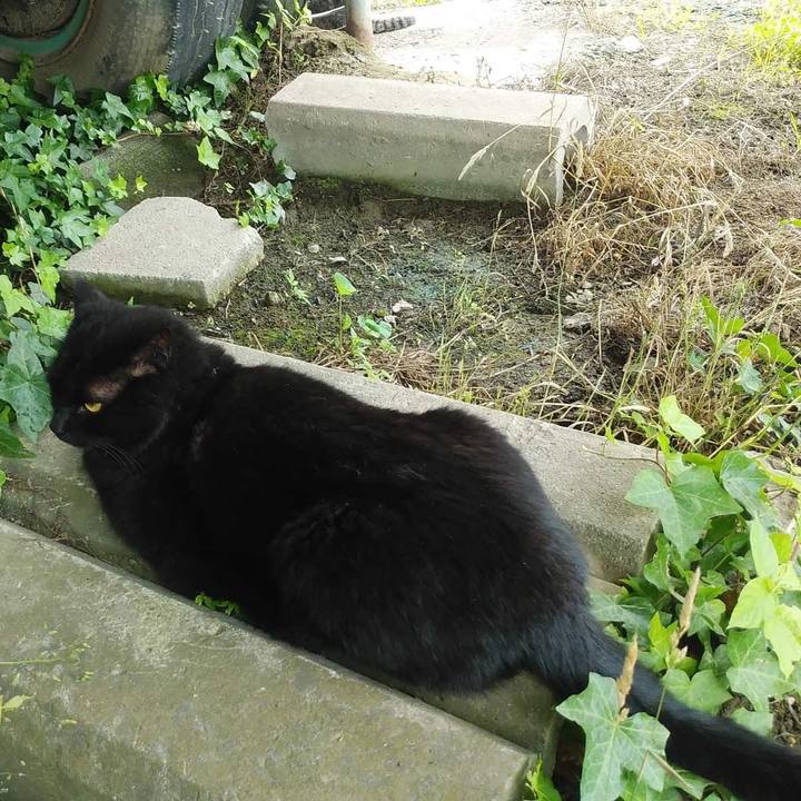 7668365a db4c 47ae a7ff d6ceb0d47ded 1655462326972