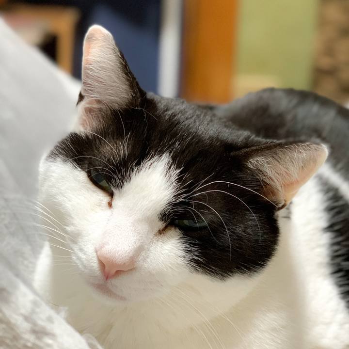 76684602 6a12 4bf4 86f6 f19cf7f7253f 1587174212137