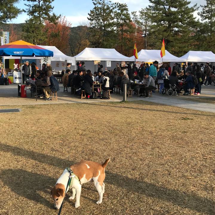 76684b60 3bfb 4fd8 8688 0a752ab0d06b 1511595280250