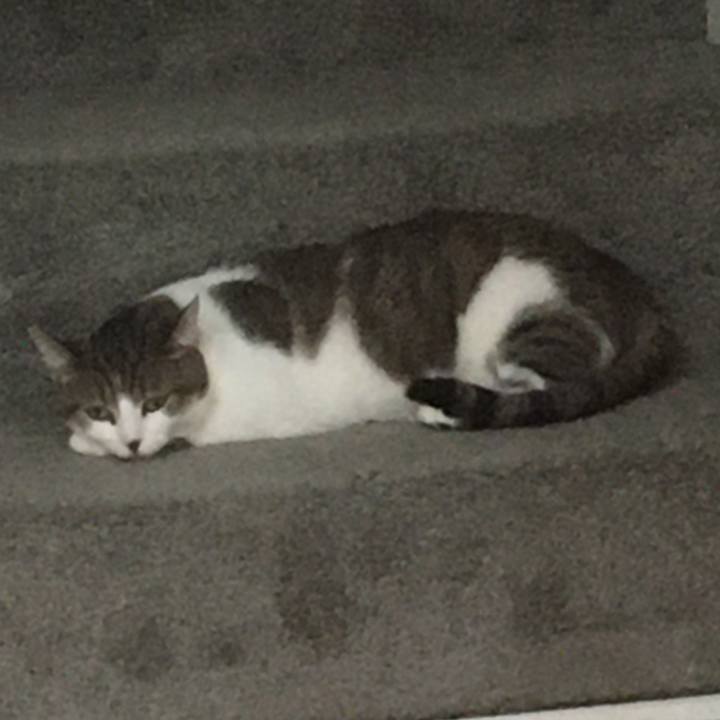 76688115 f370 46e8 ad55 690a1a834669 1662508550465