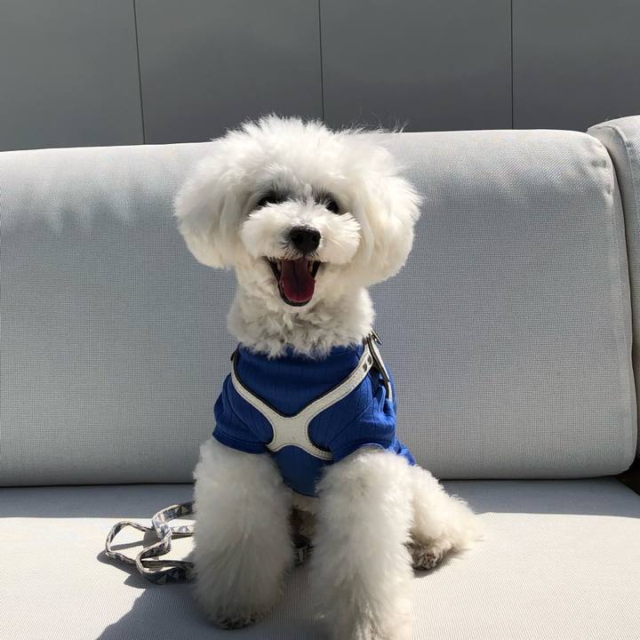 7668a67a 229d 4a2c 872e e1ed35cbb148 1678527055556