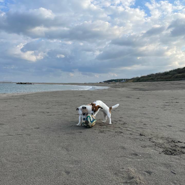 7668df59 5b1a 4b46 85c2 24950e5d360b 1635378839459