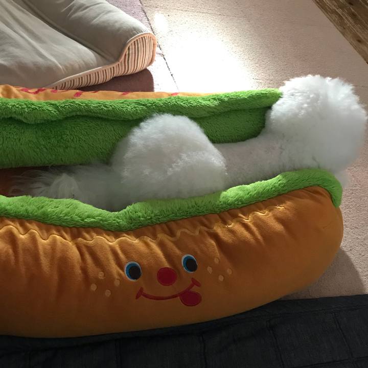 7668e7d4 99a5 4245 acd9 d3a1c2c78778 1537599704358