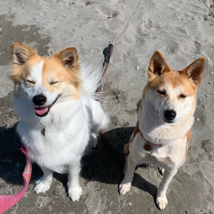 76691517 967d 437e b066 06ec9237a9b7 1623201390852