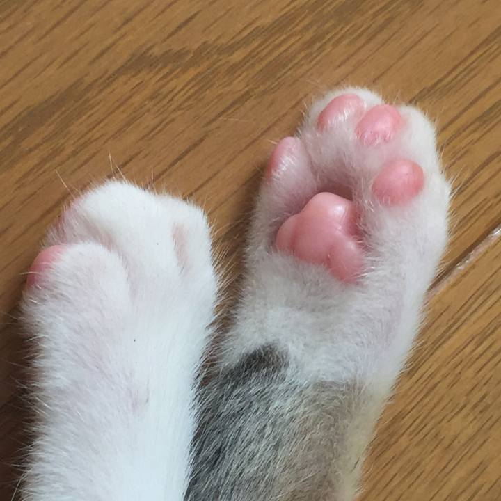 76695447 f09b 436c aeb3 1579a116272d 1651796675938