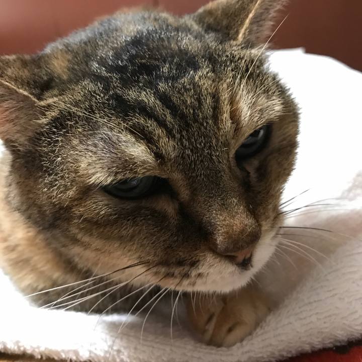 76695571 cd7b 4a72 8bc3 eb78637dd4d7 1534861888528