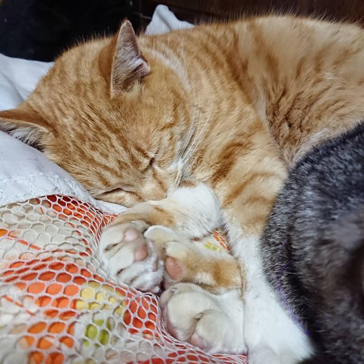 76695992 706a 4012 bc7f 22a27e242295 1580905526393