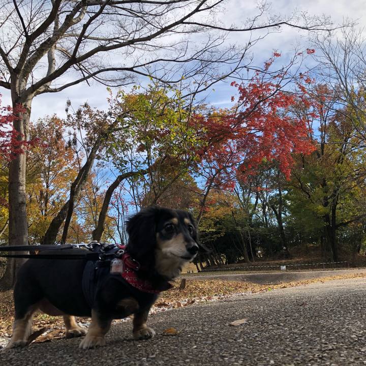 7669a082 2919 43e9 a695 00e9f0993047 1638170431390